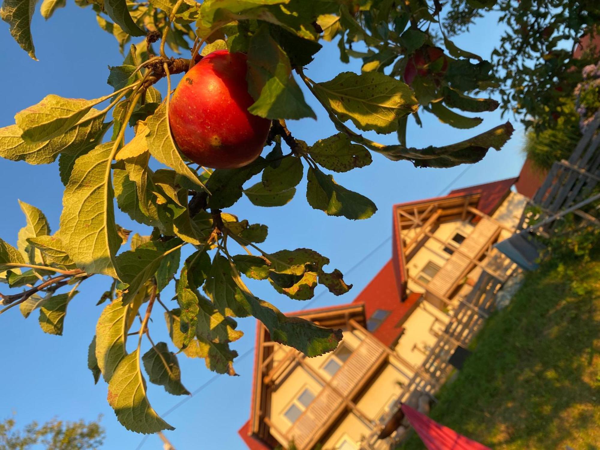 Fugger Alm Aparthotel Weichselbaum Exteriör bild